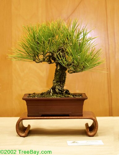 sm_20020421Kusamura 089_adj.jpg